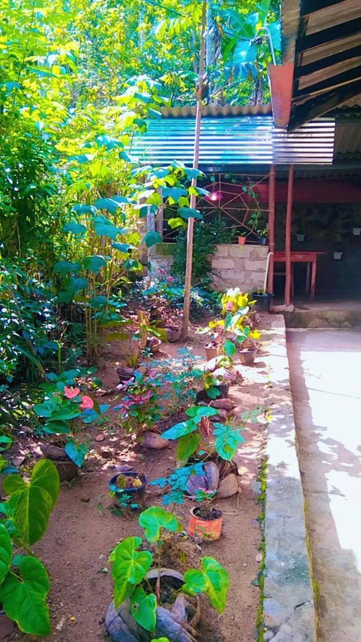 Ella Kumi Hostel Extérieur photo
